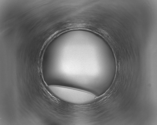 X0000056361212200508260937