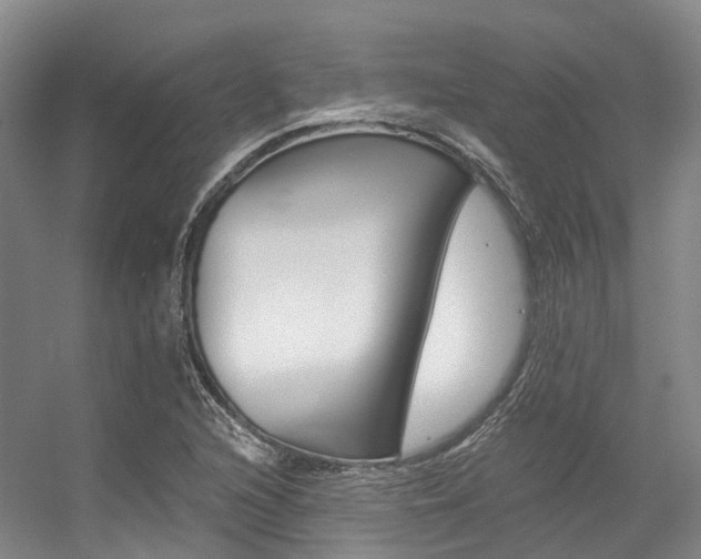 X0000056361216200508260937