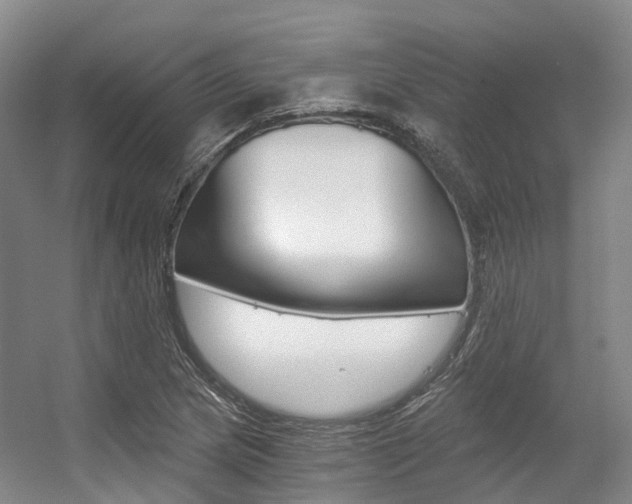 X0000056361217200508260937