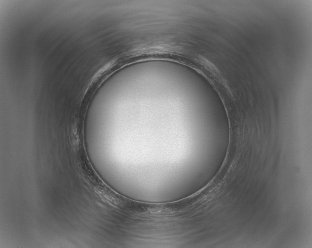 X0000056361218200508260937