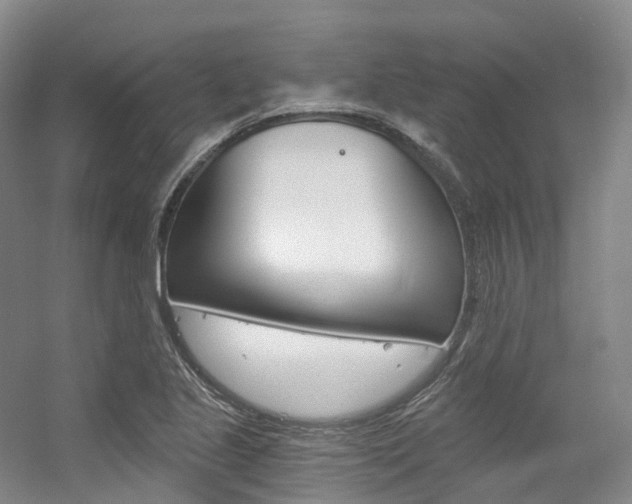 X0000056361221200508260937