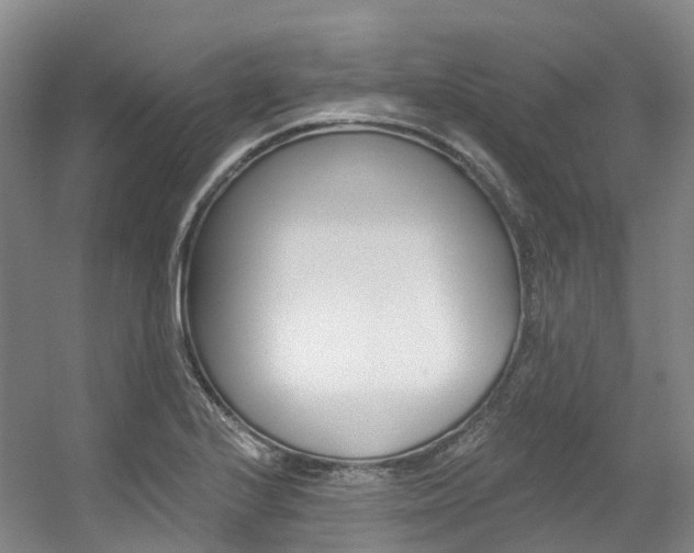 X0000056361224200508260937