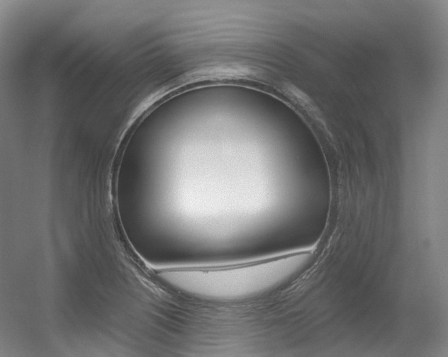 X0000056361226200508260937