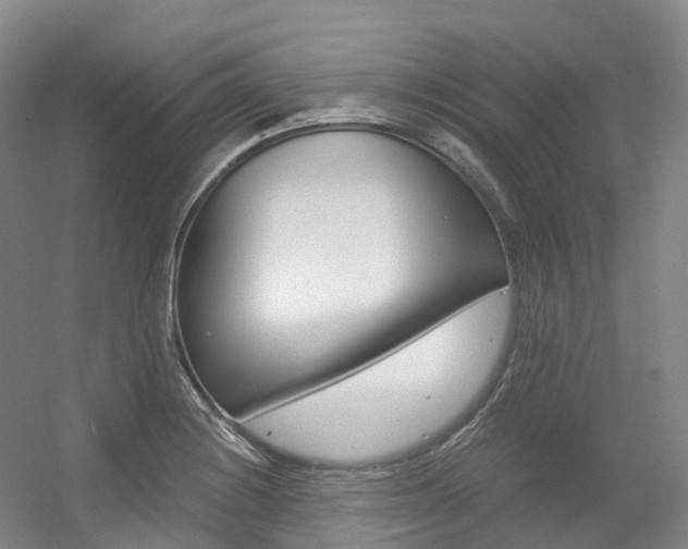 X0000056361228200508260937