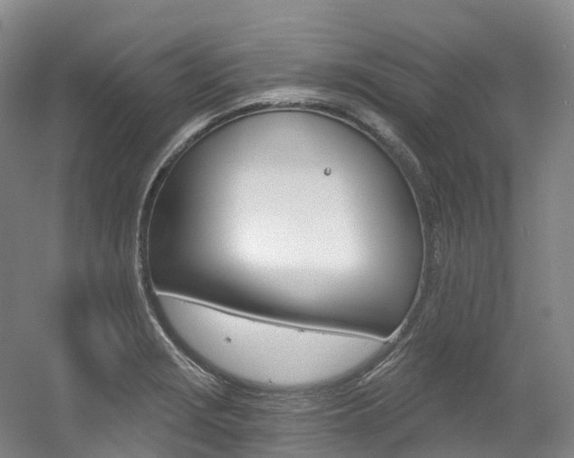 X0000056361229200508260937