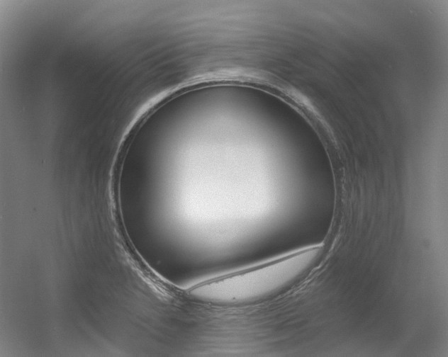 X0000056361230200508260937