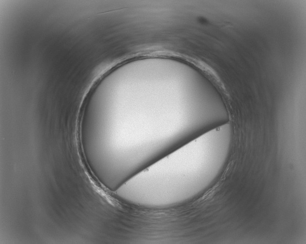 X0000056361231200508260937