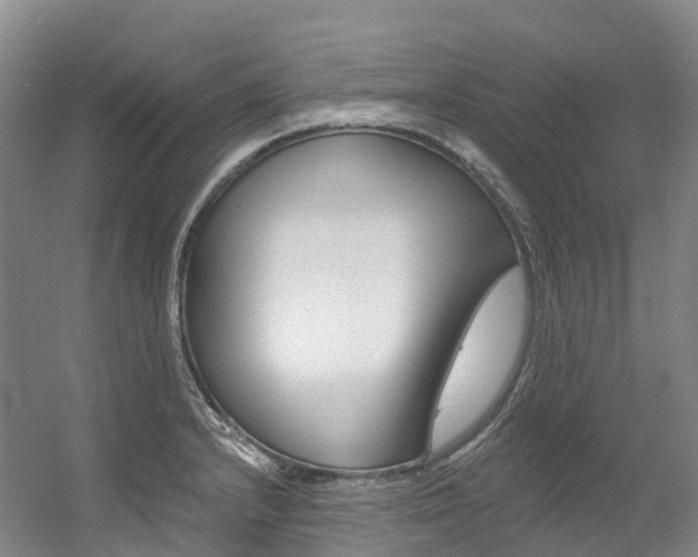 X0000056361232200508260937