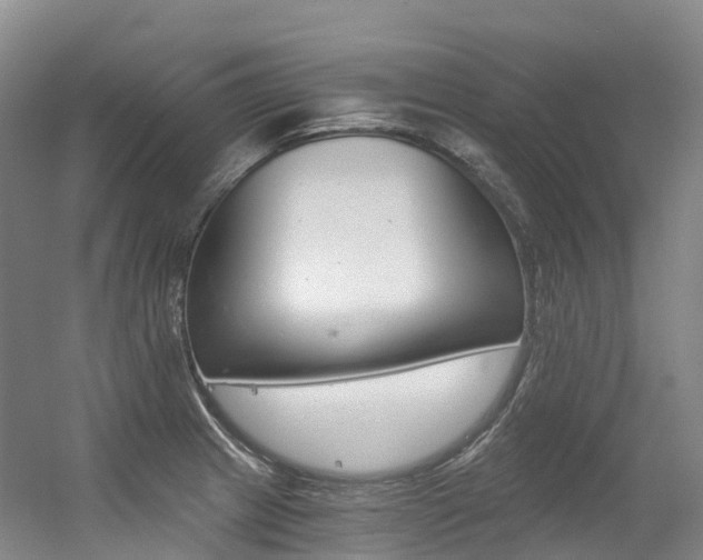 X0000056361233200508260937