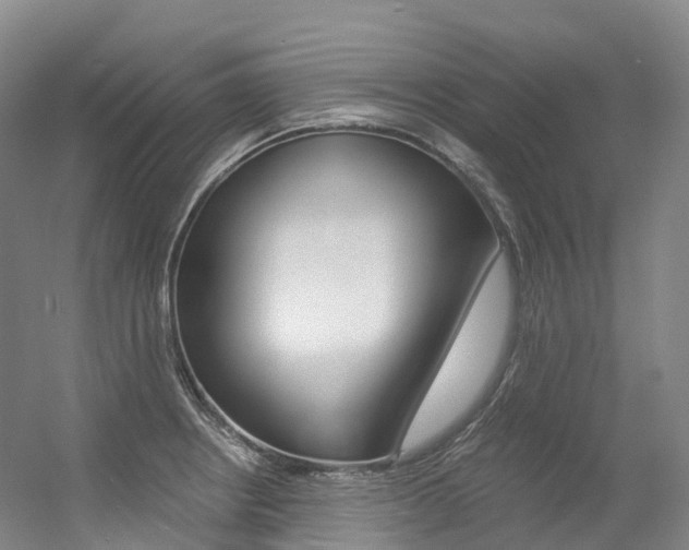 X0000056361234200508260937