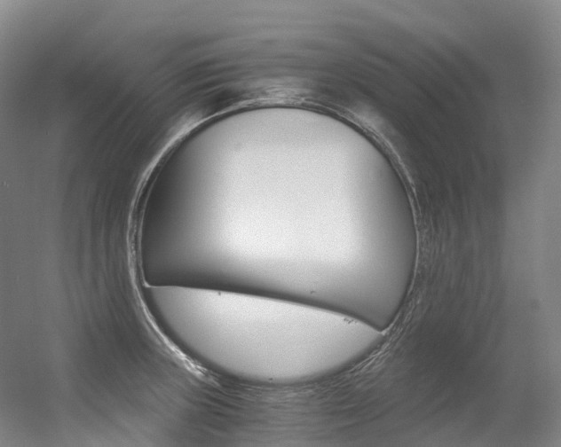 X0000056361235200508260937