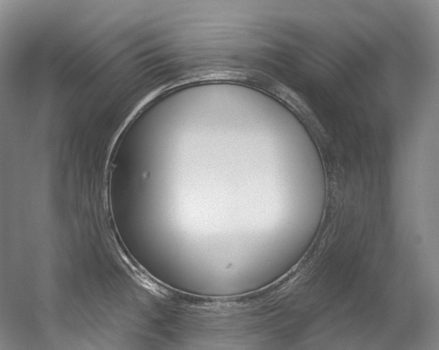X0000056361236200508260937