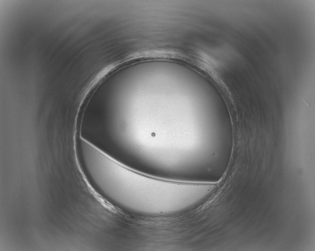 X0000056361237200508260937