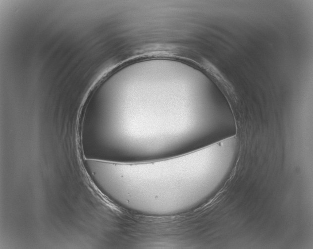 X0000056361240200508260937