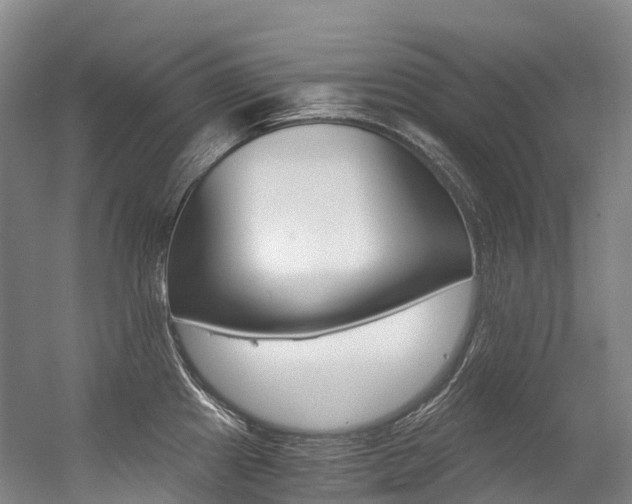 X0000056361241200508260938