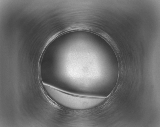 X0000056361242200508260938