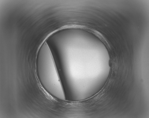 X0000056361244200508260938
