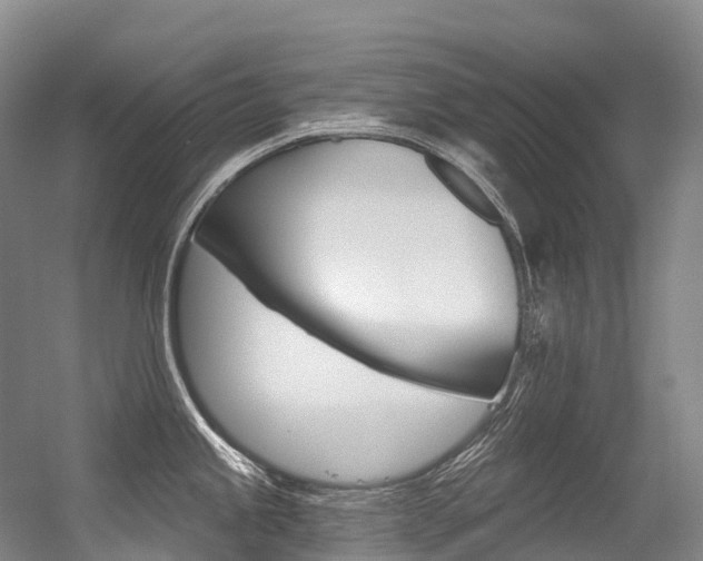 X0000056361245200508260938