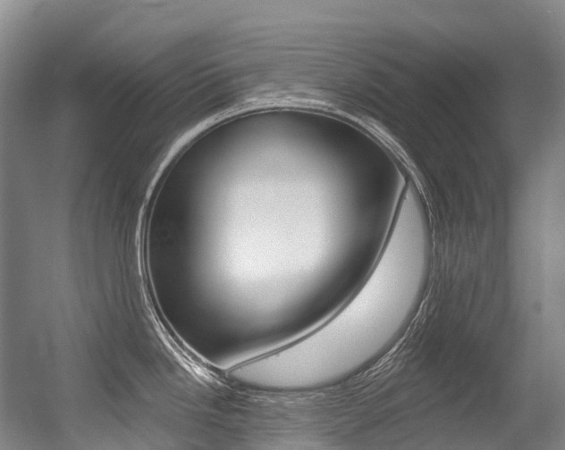 X0000056361246200508260938