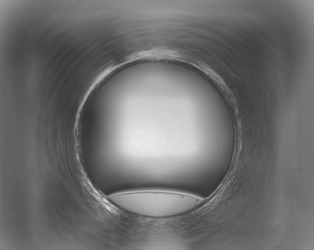 X0000056361248200508260938
