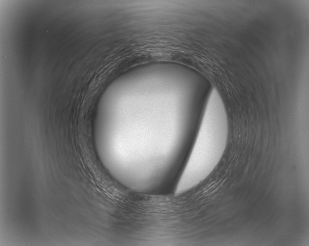 X0000056361249200508260937