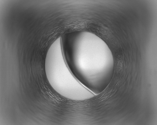 X0000056361250200508260937