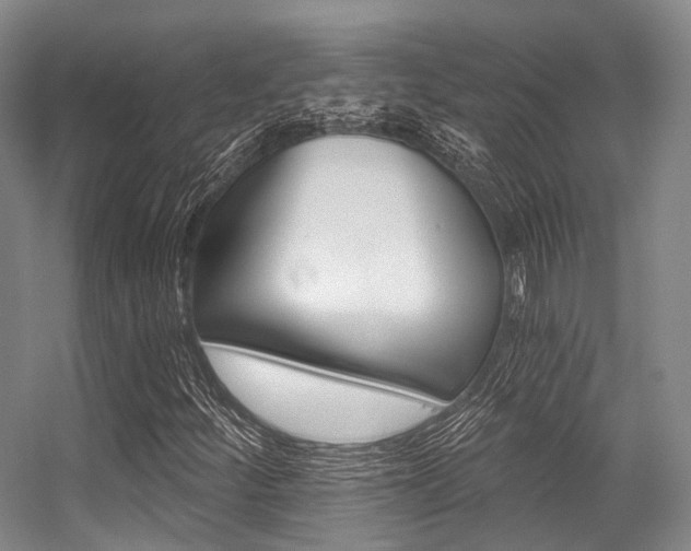 X0000056361252200508260937