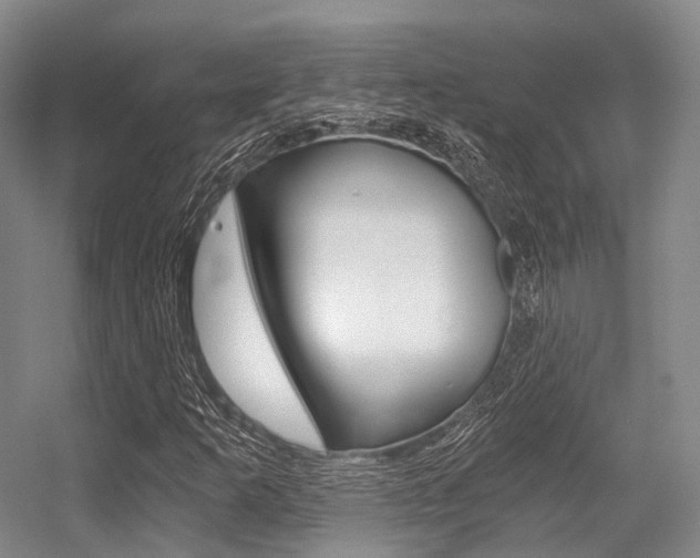X0000056361253200508260937