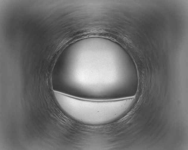 X0000056361257200508260937