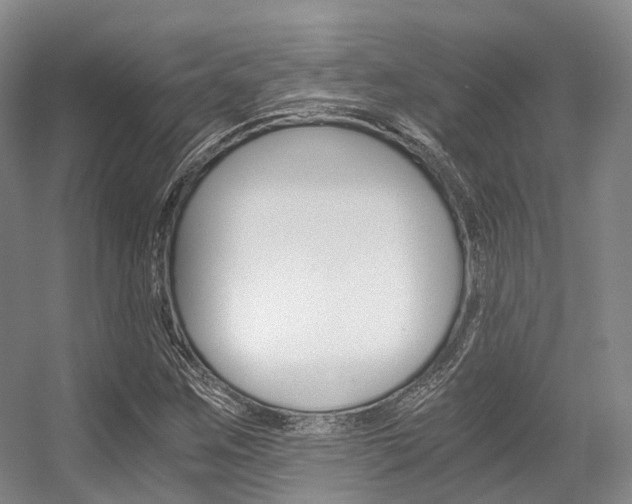 X0000056361259200508260937