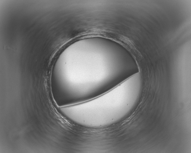 X0000056361260200508260937