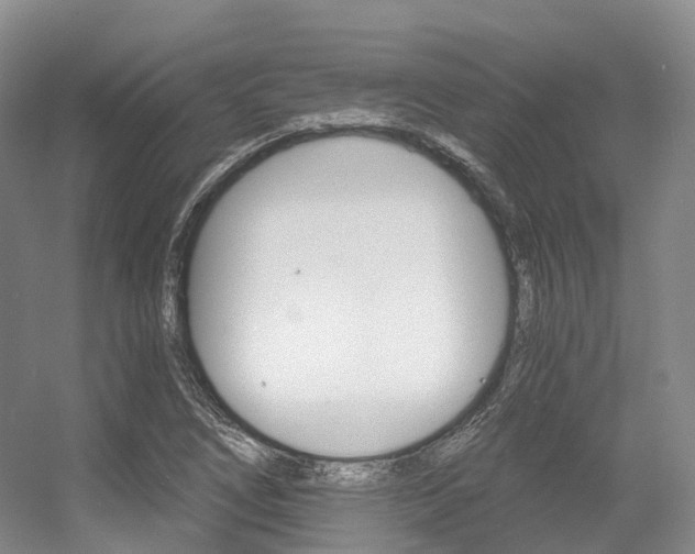 X0000056361266200508260937