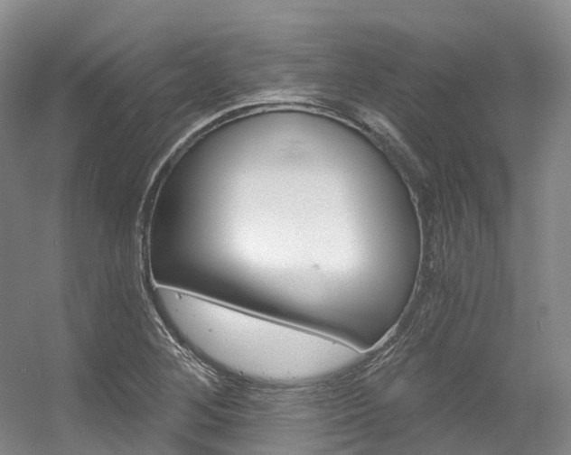 X0000056361268200508260937