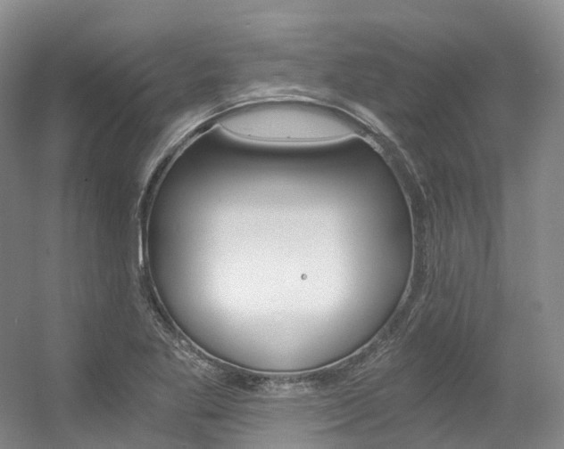 X0000056361269200508260936