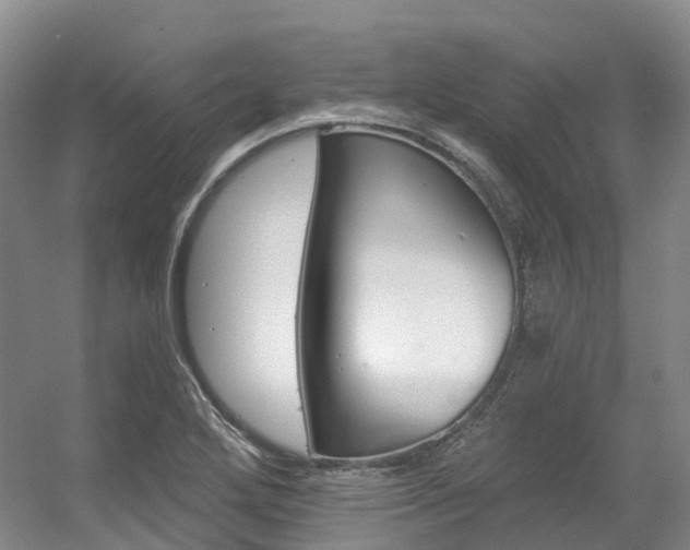 X0000056361272200508260936