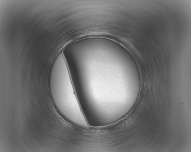 X0000056361273200508260936