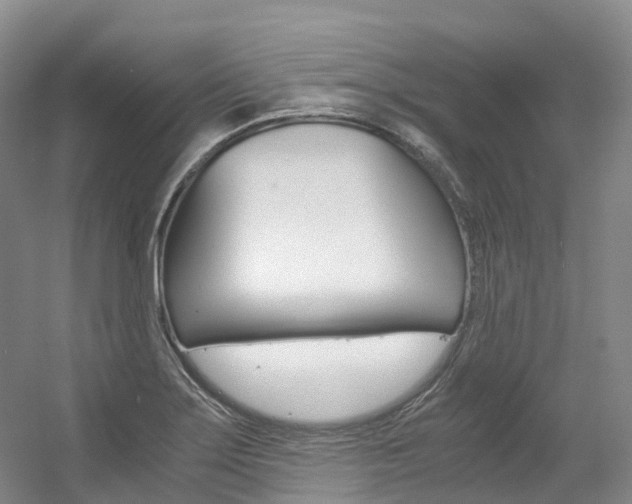 X0000056361275200508260936