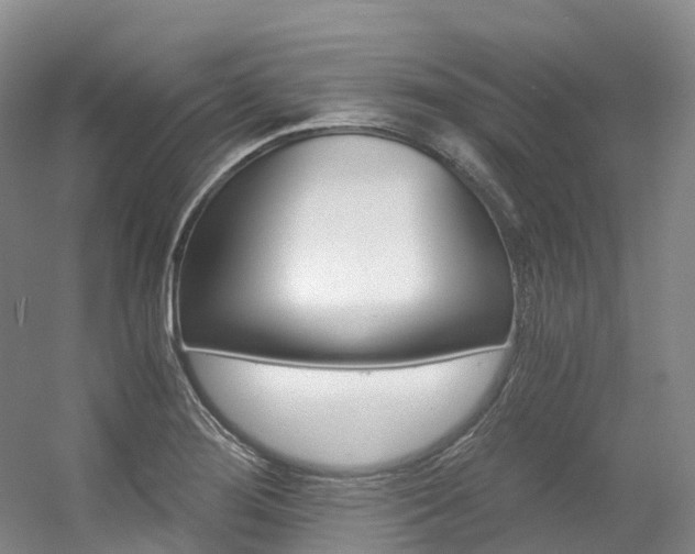 X0000056361276200508260936