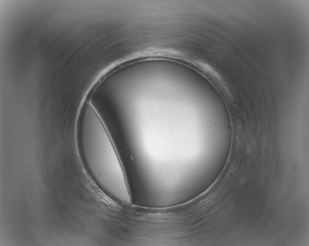 X0000056361280200508260936