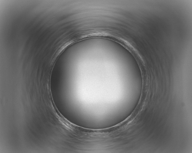 X0000056361281200508260936