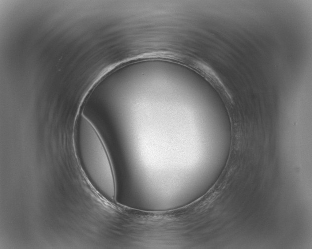 X0000056361284200508260936