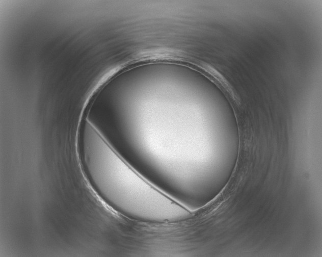 X0000056361285200508260936