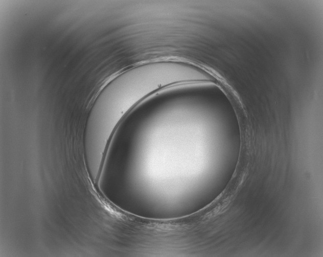 X0000056361289200508260936