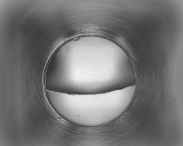X0000056361291200508260936