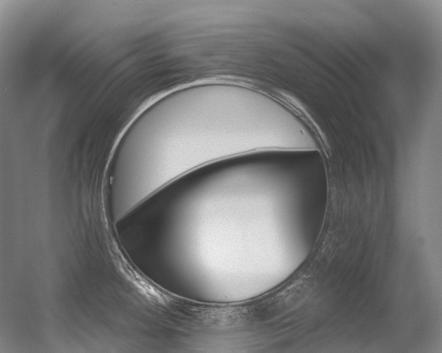 X0000056361292200508260936