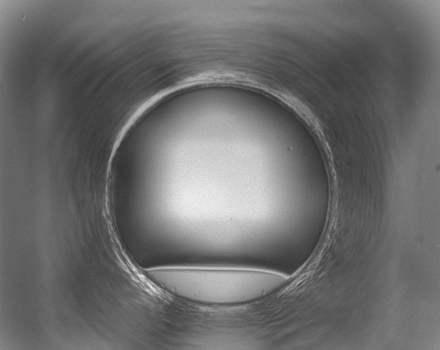 X0000056361296200508260936