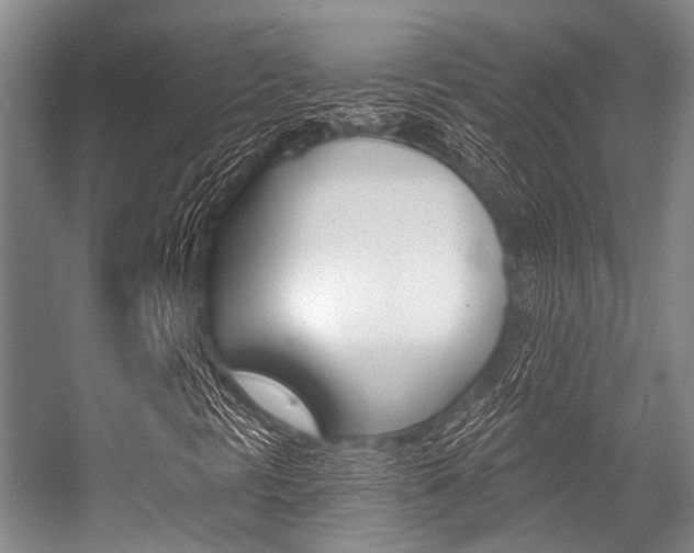 X0000056361297200508260935