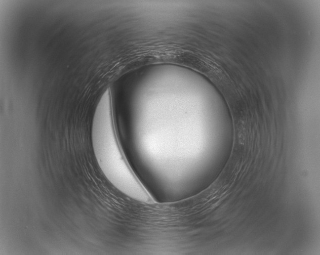 X0000056361298200508260935