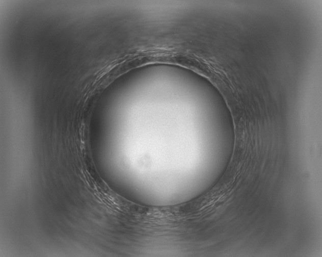 X0000056361301200508260935
