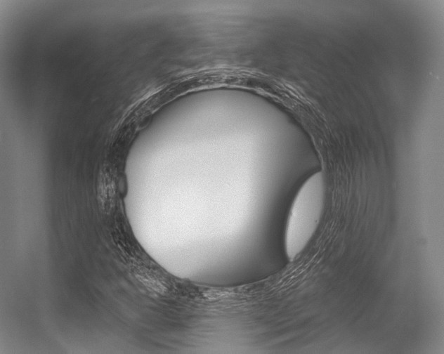 X0000056361302200508260935